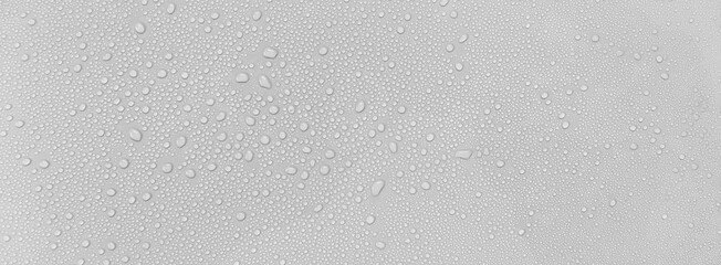 Wall Mural - Water droplets on a gray background.