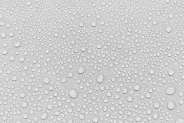 Aufkleber - Water droplets on a gray background.