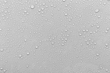 Wall Mural - Water droplets on a gray background.