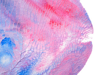 Poster - blue pink abstract acrylic painting color texture on white paper background by using rorschach inkblot method