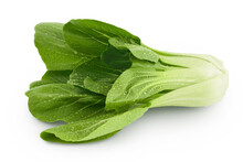 Fresh Pak Choi Cabbage Isolated On White Background With Full Depth Of Field
