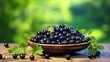 Black currant berries in a wooden bowl on a green background. Fresh black currant background. Top view. Close up of fresh black currants background. Healthy food concept.