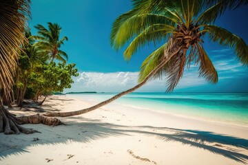 Poster - Background for summer vacations - a beautiful tropical paradise beach with white sand and palm trees. Generative AI