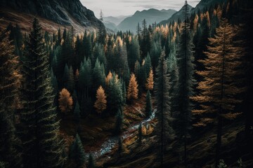 Poster - dense forest with towering trees and lush foliage. Generative AI
