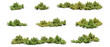 Leinwandbild Motiv set of bushes photorealistic 3D rendering with transparent background, for illustration, digital composition, architecture visualization