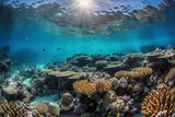 Fototapeta Do akwarium - Exploring the Enchanting Underwater Realm: A Visual Journey through Vibrant Corals and Diverse Marine Life