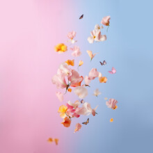 Beautiful Spring Flowers Flying In The Air, Against Pink Background; Creative Spring Floral Layout. Minimal Birthday, Valentines Or Wedding Concept. AI Generated