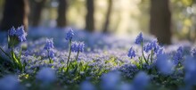 Illustration Of A Forest Full Of Hyacinth Flowers, AI Generative 