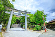 初夏の香椎宮　福岡県東区　Kashii Shrine in early summer. Fukuoka Pref, Higashi-ku.