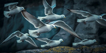 A Wonderful Illustration Of A Flock Of Capitols In Flight. Graceful And Flowing Movements Of Seabirds Have Been Recorded. The Illustration Is Detailed And Realistic. Ideal For Nature Lovers.
