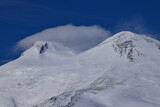 Fototapeta Kwiaty - View of Mount Elbrus