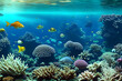 Corals underwater,  Generative AI Illustration