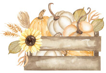 Watercolor Hand Drawn Wooden Box With Pumpkins And Sunflower Bouquet Illustration, Fall Garden Decor Clipart, Autumn Harvest Clip Art