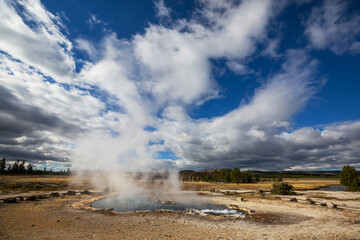 Wall Mural - Yellowstone