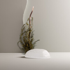 Aufkleber - Natural product display backdrop with conifer decoration and piece of ice. 3d rendering. Minimal scene object presentation with podium.