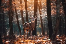 Deer In The Forest - Generative AI
