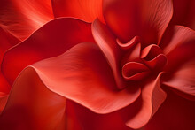 Red Flower Close-up, Natural Background
