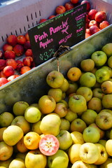 Wall Mural - Pink Punch apples with pink flesh at a farmers market