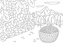 Vineyard Coloring Graphic Black White Landscape Sketch Illustration Vector