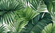  a close up of a green leafy plant on a white background with a white wallpaper behind the leaves of a palm tree in the center of the image.  generative ai