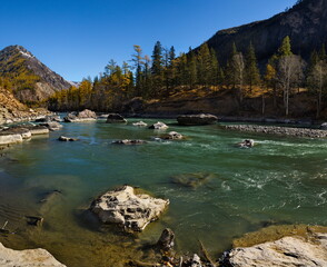 Wall Mural - Russia. The South of Western Siberia, Altai Mountains. Only in the middle of autumn, when the mountain glaciers stop melting, the water in the Chuya River becomes transparent and rich turquoise color.