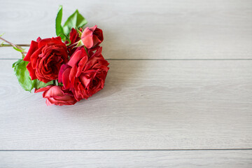 Wall Mural - Floral background of pink, red and other roses