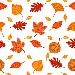 Wall Mural - Seamless pattern of colorful autumn leaves vector illustration on white background