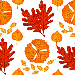 Wall Mural - Seamless pattern of colorful autumn leaves vector illustration on white background