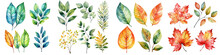 Watercolor Leaves And Branches, Fall Leaves Illustration Transparent Background, PNG ,Generative AI