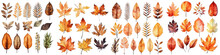Watercolor Leaves And Branches, Fall Leaves Illustration Transparent Background, PNG ,Generative AI