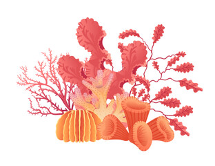 Wall Mural - plants and aquatic marine seaweed vector illustration isolated on white background