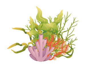 Wall Mural - plants and aquatic marine seaweed vector illustration isolated on white background