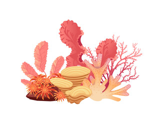 Wall Mural - plants and aquatic marine seaweed vector illustration isolated on white background