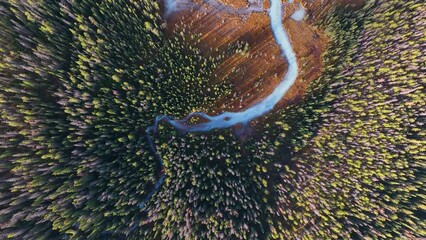 Wall Mural - a drone view of the river in the woods. an aerial view of a forest and river. banff national park, a