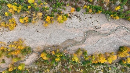 Wall Mural - a drone view of the river in the mountains valley. an aerial view of an forest and river. winding ri
