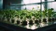 Plants in Hydroponics in Lab Greenhouse. Modern Cutting-Edge Plant Science: Genetic Engineering, Hydroponics, and Greenhouse Cultivation with Plant Test Tubes. generative ai