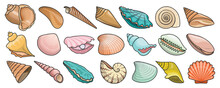 Shell Vector Color Set Icon. Vector Illustration Set Shell Sea. Isolated Color Icon Seashell On White Background .