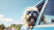 © ds17 - Funny happy dog in glasses looking out of the car window while traveling. Copy space. AI generation