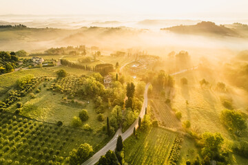 Wall Mural - Aerial view of famous medieval San Gimignano hill. Province of Siena, Tuscany, Italy.  Amazing landscape of vineyards in Toscany,Italy