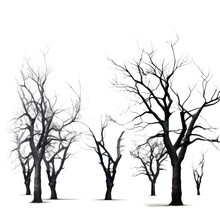 Spooky Trees Isolated On A Transparent Background, Generative Ai