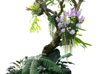 Wall Mural - Tropical plants bush with tropical rainforest tree with epiphytes creeper plants Staghorn fern, Bird's nest fern, hanging Dischidia succulent plant and purple Vanda orchid flowers 