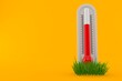 Thermometer on grass