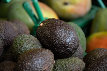 Many fresh ripe green organic avocados in box on farmers market in Spain