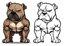 Angry Pitbull Dog Cartoon Mascot Vector Illustration , Unhappy Muscular Pitbull Or American Bully Dog Vector Image Colored And Black And White Version