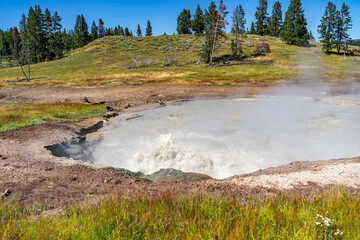 Canvas Print - Churning Caldron at Sizzling Basin, Yellowstone National Park.