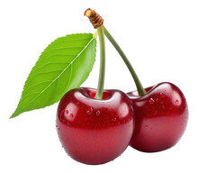 Cherry With Leaf Isolated.