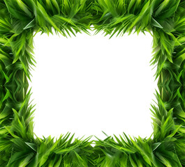 green grass leaf frame, isolated on transparent background, generative ai