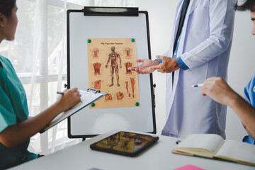 Meeting to discuss or discuss with doctors about the vascular system in the meeting room. Medical students studying the vascular system in the classroom the work of the medical team