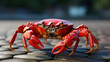 Giant crab, marine animal protection, tourist concept, for advertising and restaurant menu, wallpaper