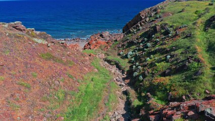 Wall Mural - Ocean coast trail in Hallett Cove, Adelaide, South Australia. Nature reserve